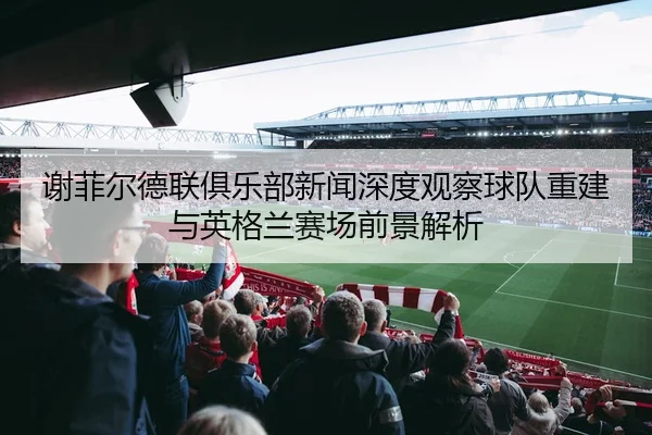谢菲尔德联俱乐部新闻深度观察球队重建与英格兰赛场前景解析