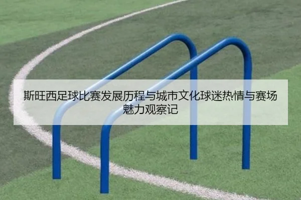 斯旺西足球比赛发展历程与城市文化球迷热情与赛场魅力观察记