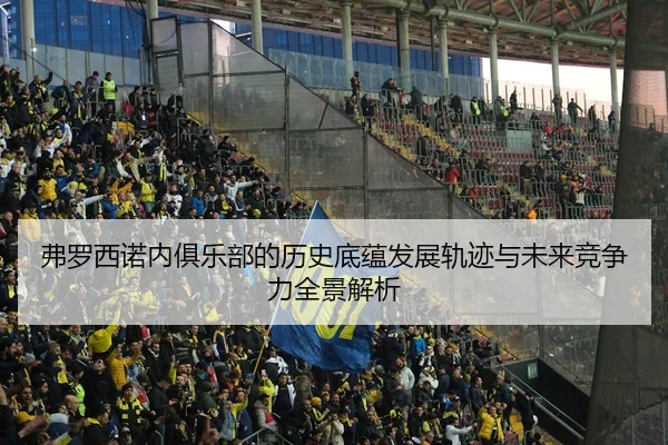 弗罗西诺内俱乐部的历史底蕴发展轨迹与未来竞争力全景解析